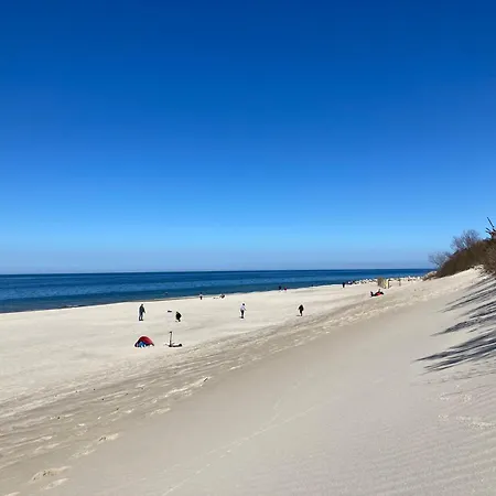 Pod Palmami Apartment