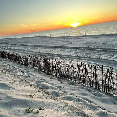 Apartment Pod Palmami *