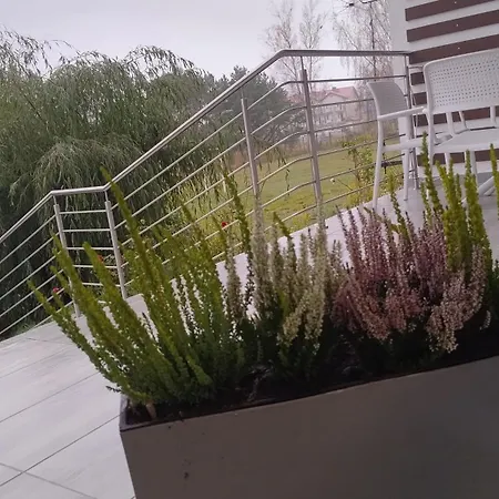 Appartement Pod Palmami Jastrzębia Góra