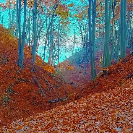 Pod Palmami Jastrzębia Góra