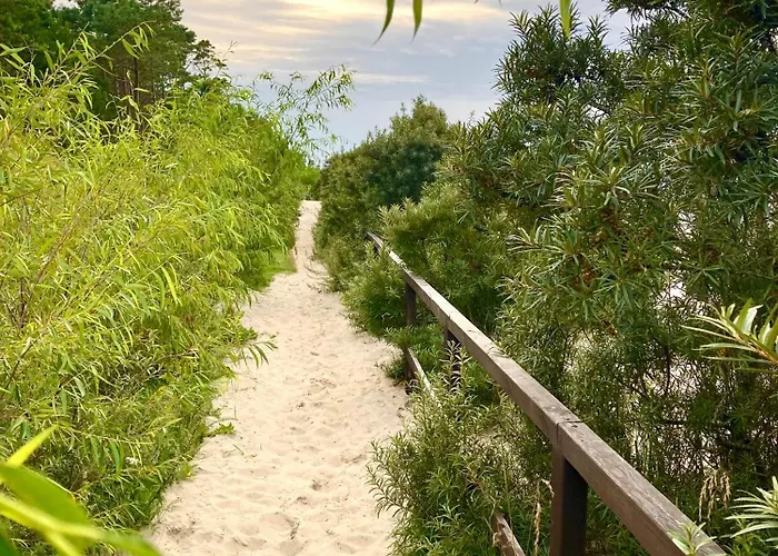 Pod Palmami * Jastrzębia Góra