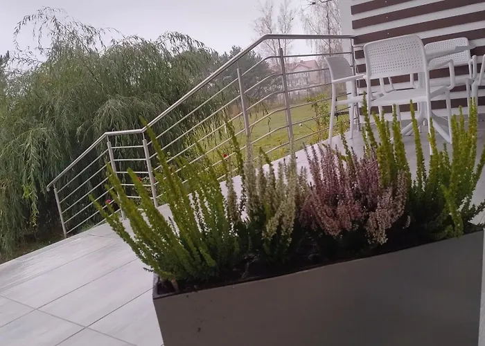 Apartament Pod Palmami Jastrzębia Góra