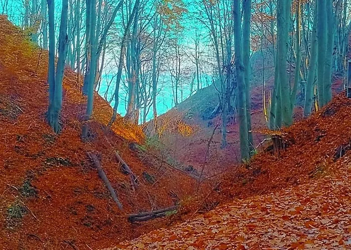 Pod Palmami Jastrzębia Góra